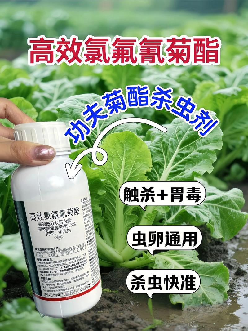 宜昌代生中心:农药对供卵代生妈妈的危害